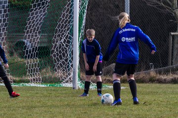 Bild 17 - D-Juniorinnen SV Bokhorst - FSC Kaltenkirchen : Ergebnis: 1:8